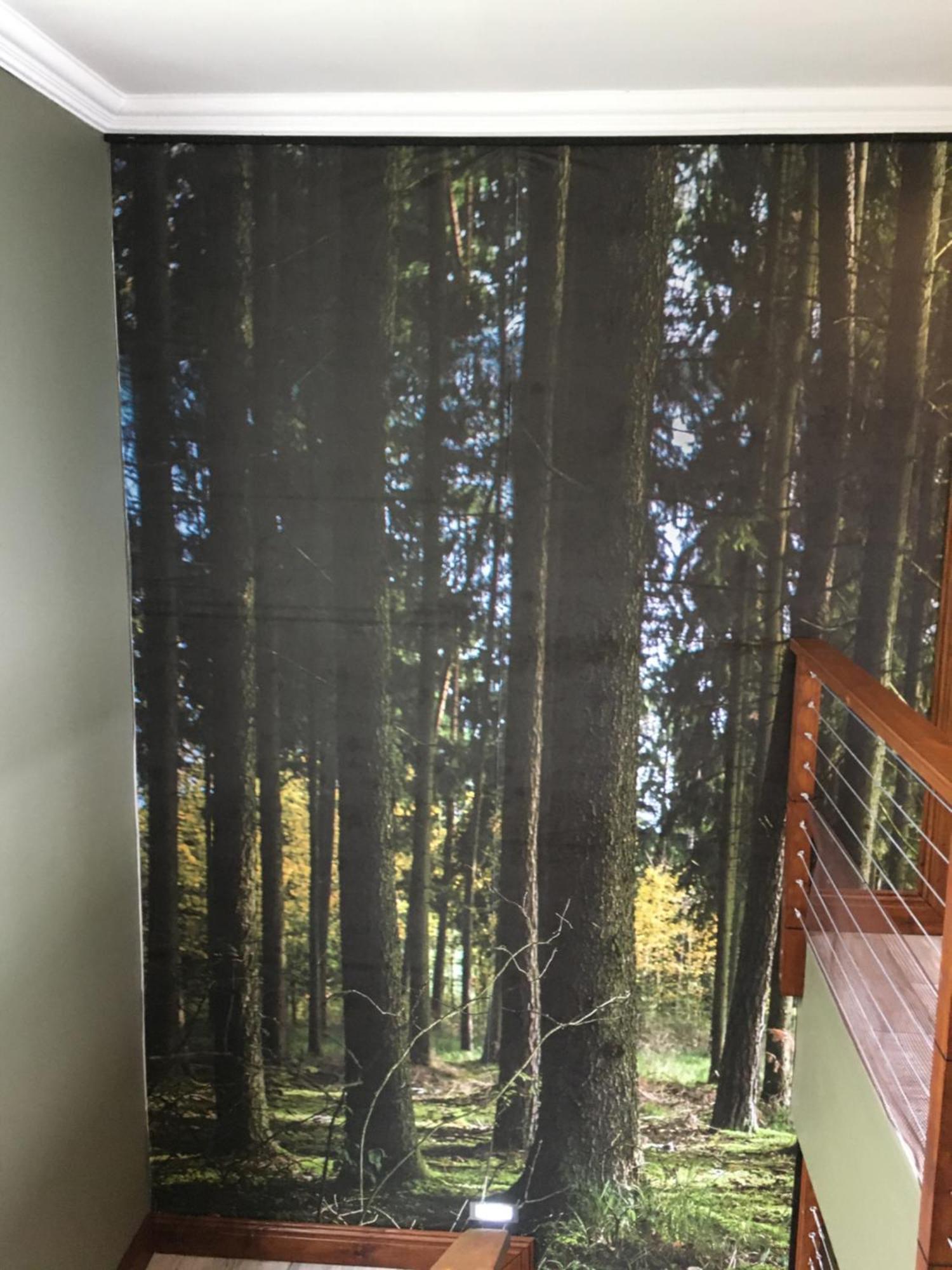 Forest Hill Wildernis Kültér fotó